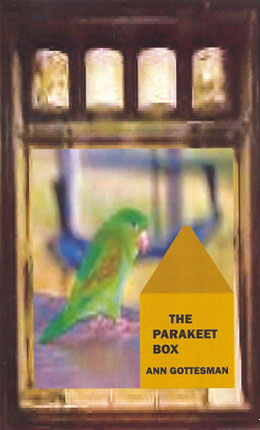 The Parakeet Box